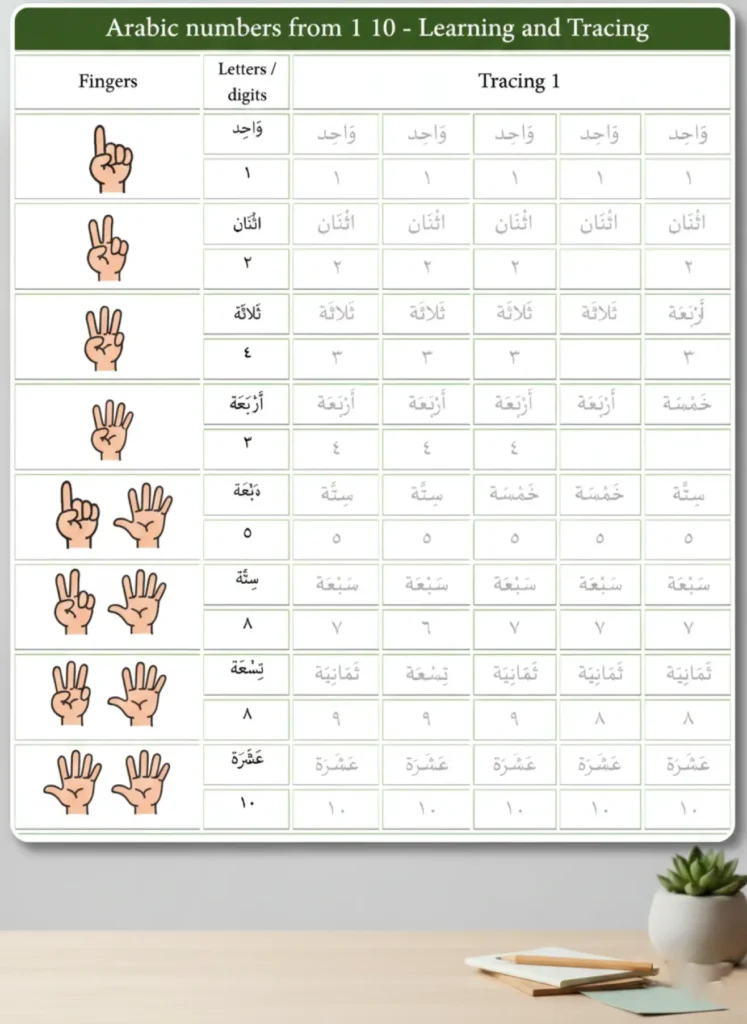 arabic-numerals-hands or other thing.