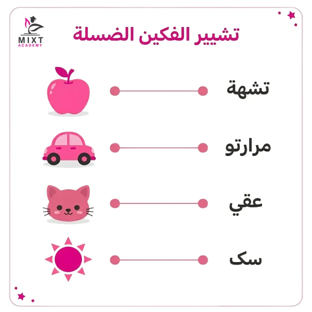 Arabic homework word–picture matching worksheet for beginners