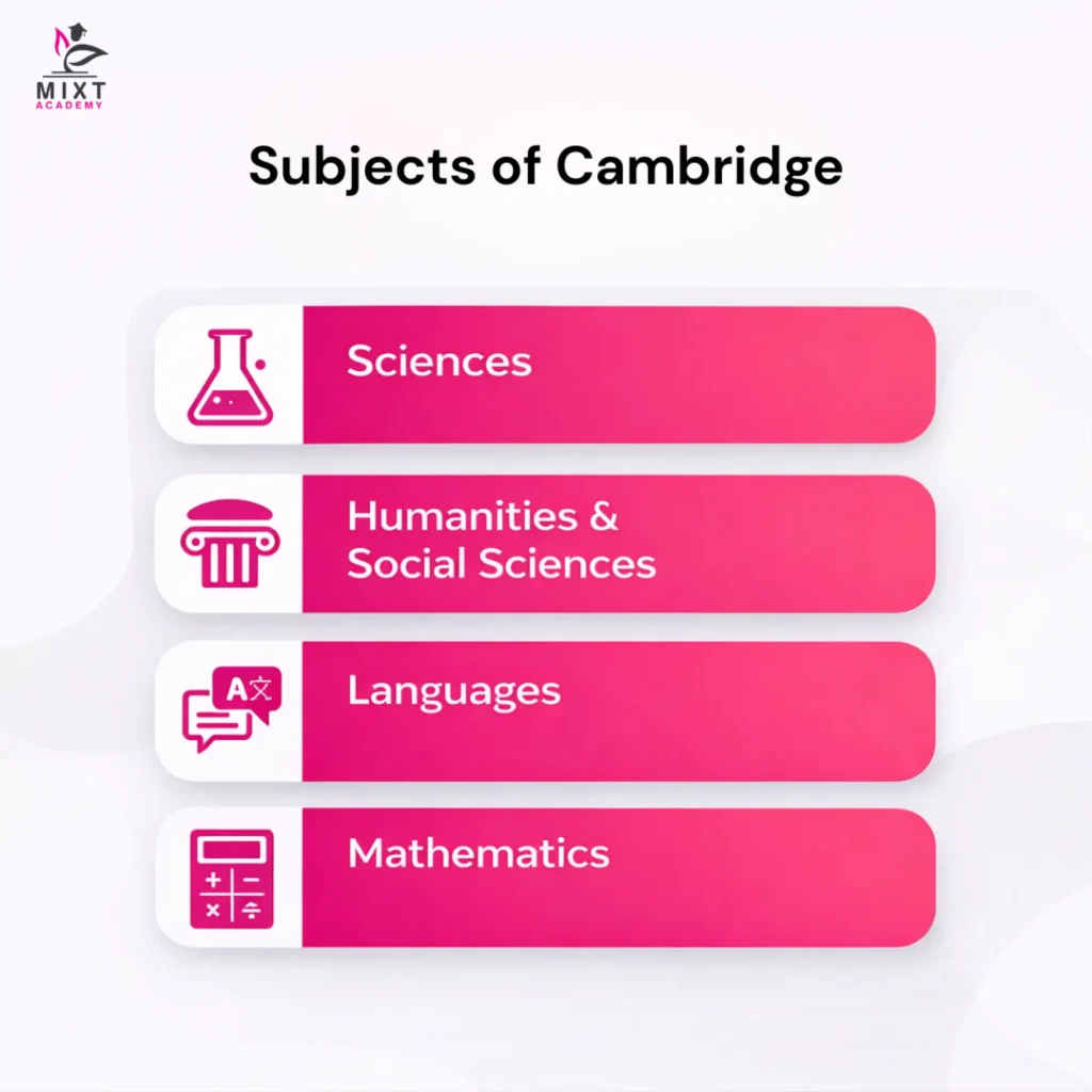 Cambridge syllabus structure and subjects overview