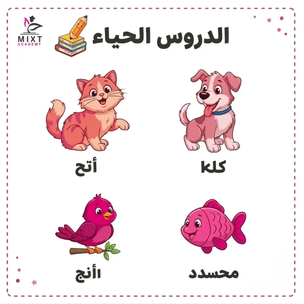 Arabic homework for kids vocabulary picture worksheet 